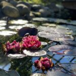 Workshop - Lad opp batteriet med meditasjon og eigenomsorg
